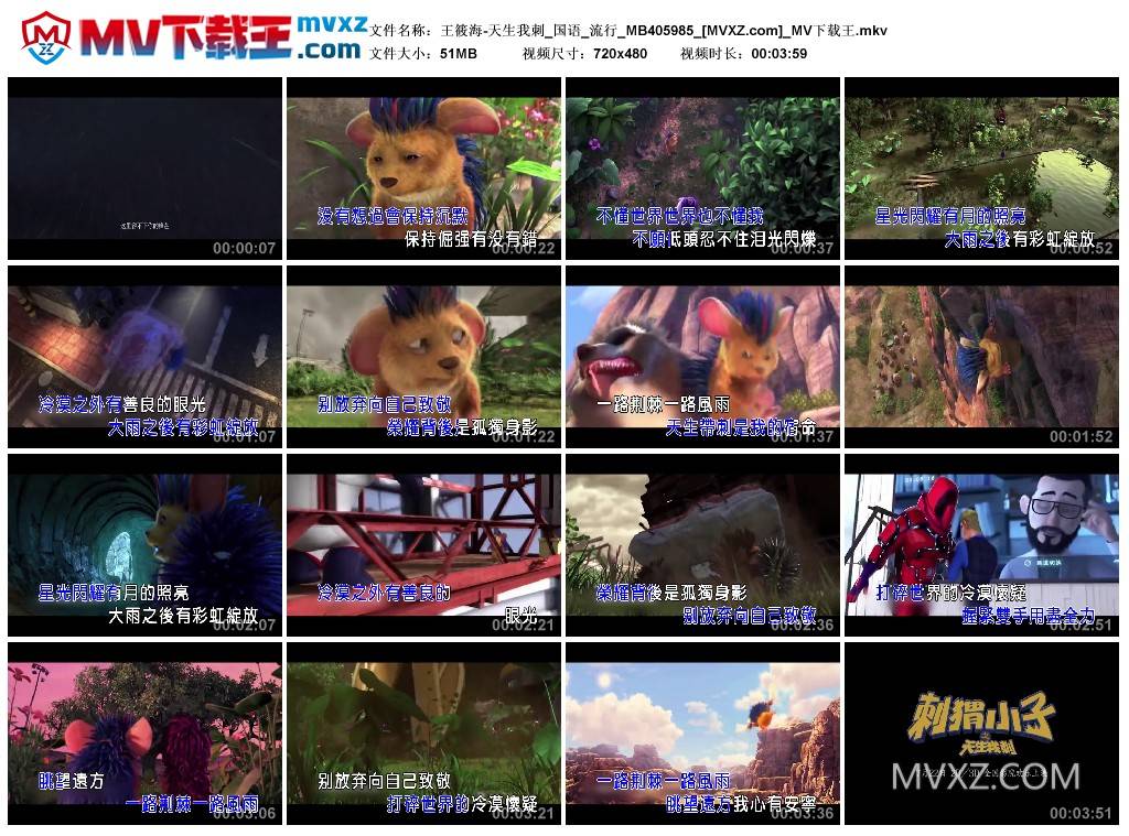 王筱海-天生我刺_国语_流行_MB405985